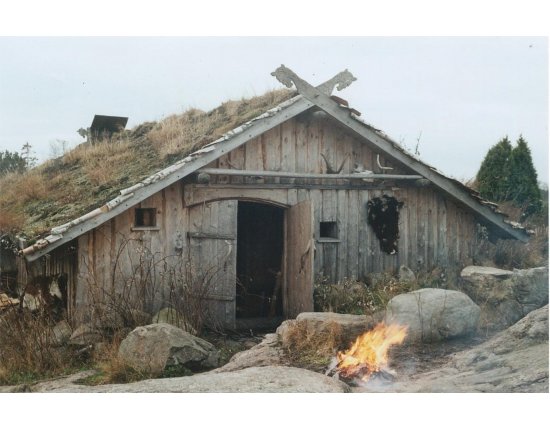 Дома викингов фото