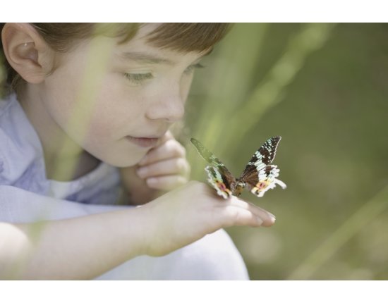 Дети бабочки болезнь фото