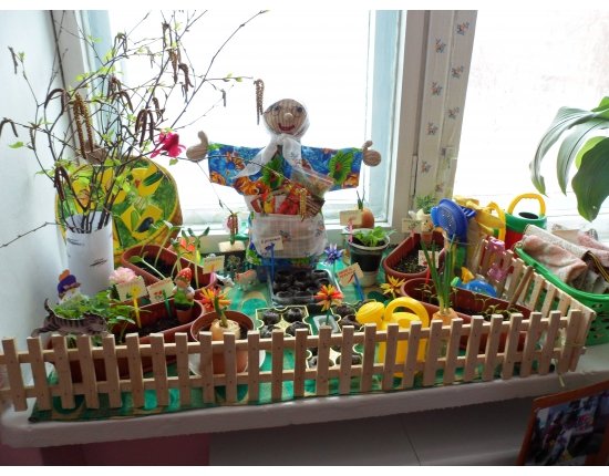 Огород на подоконнике в детском саду фото