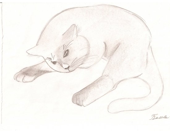 Рисунок котика для детей