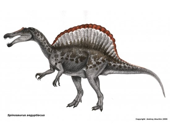 Синозавр фото
