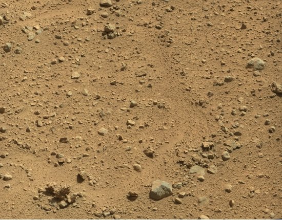 Скачать Стеклянные черви на марсе фото 5125x4000 px
