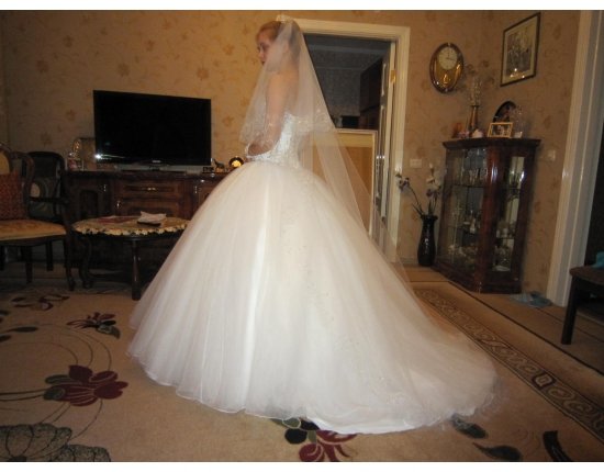 Длинные пышные свадебные платья фото