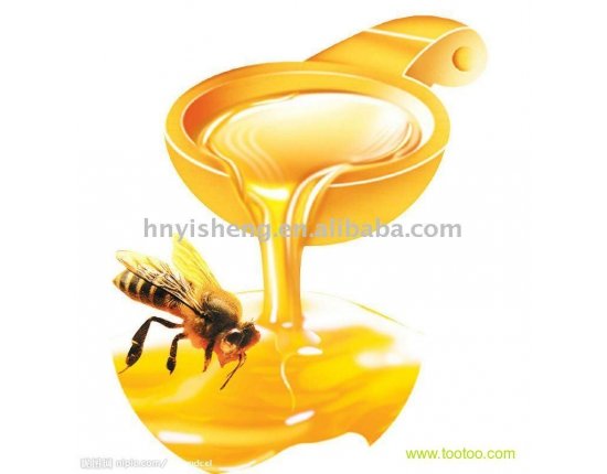 Фото мёда и пчёл